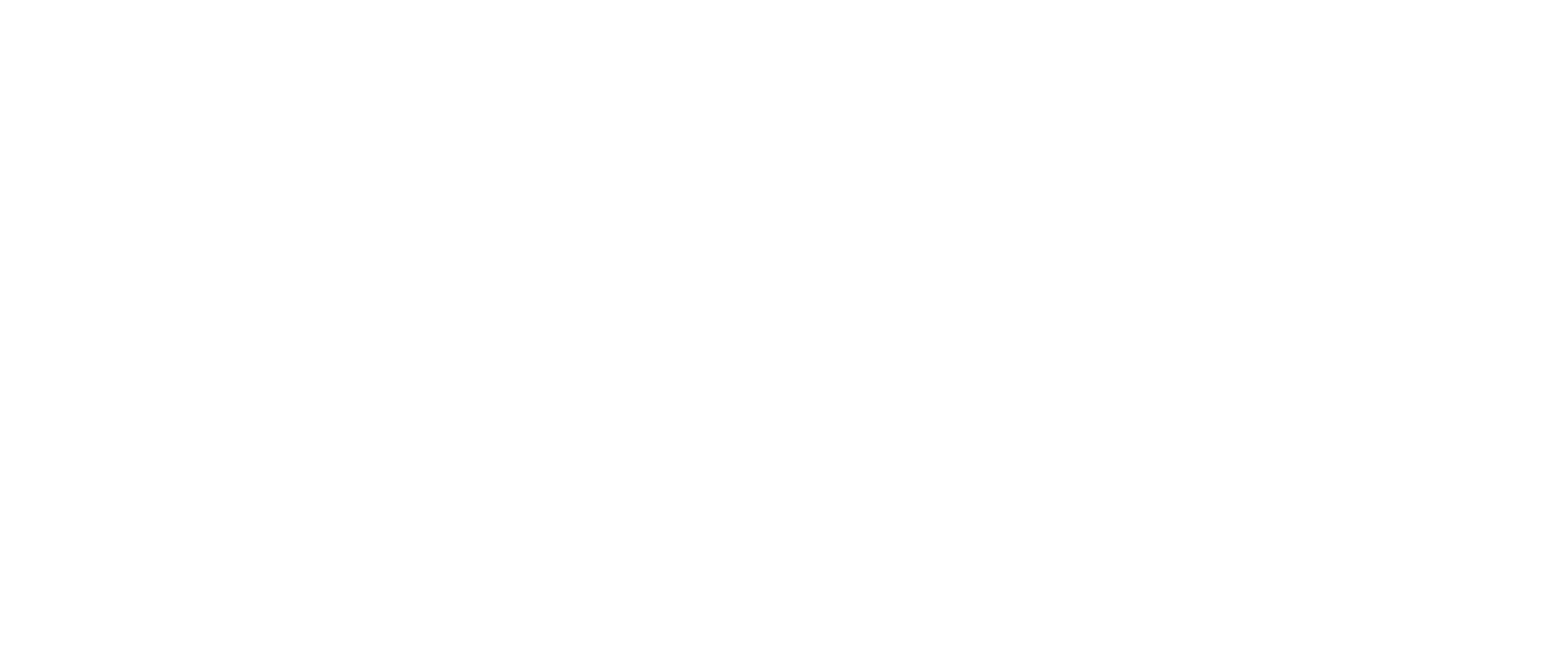 Raizen